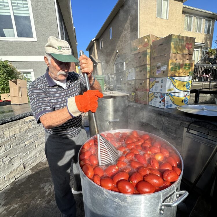 Tomato Season